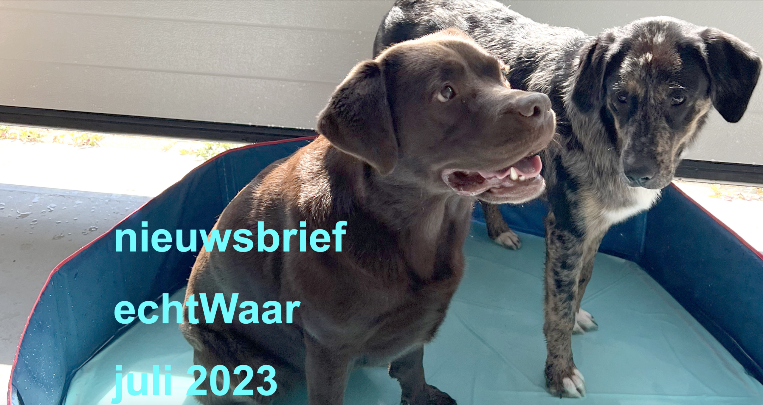 Nieuwsbrief juli 2023